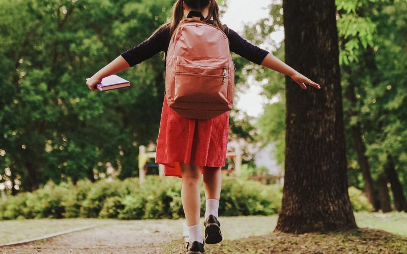 happy child goes school with backpack curb. kid with school bag textbook his hand park. Road school. view from back. happy childhood dream. childhood concept. schoolboy view from back. happy family