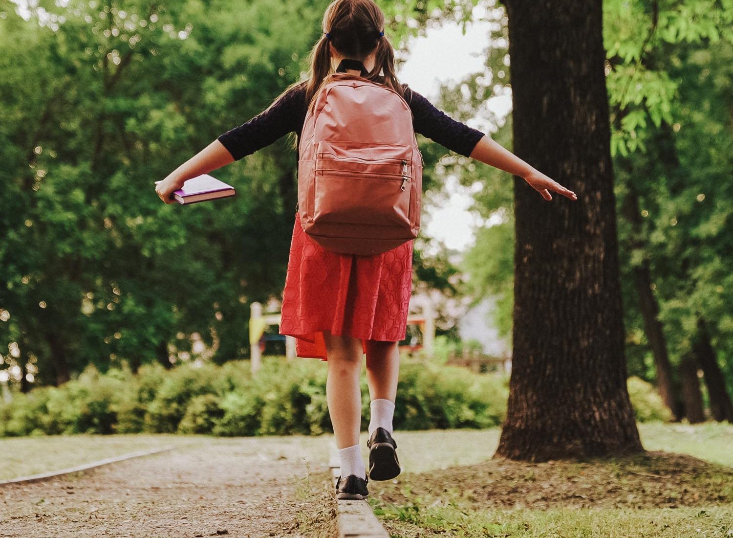 happy child goes school with backpack curb. kid with school bag textbook his hand park. Road school. view from back. happy childhood dream. childhood concept. schoolboy view from back. happy family
