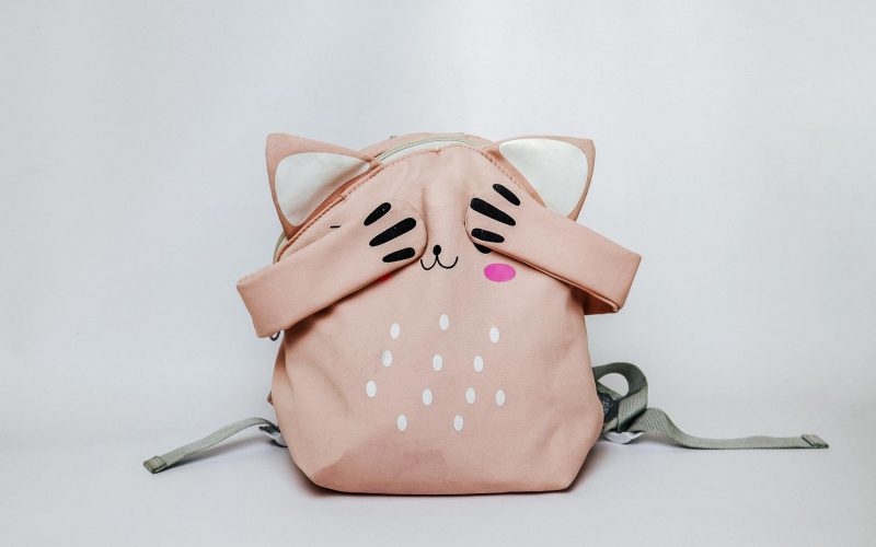 pink backpack with the muzzle of a cat with closed eyes. turning a blind eye to school problems