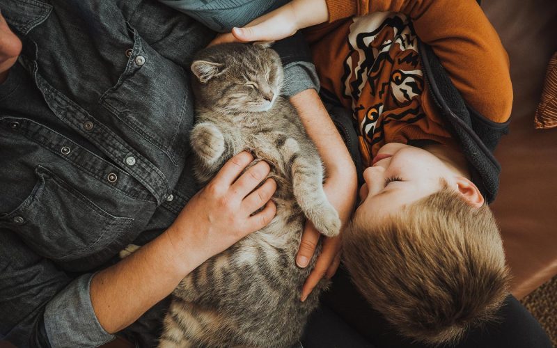 Mother and son playing with cat at home