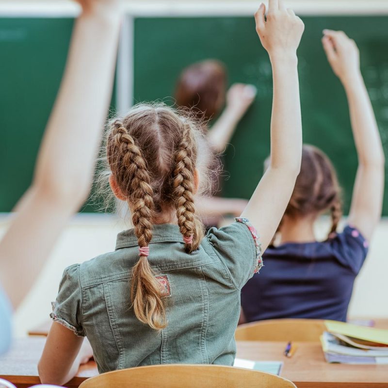 School children in classroom at lesson