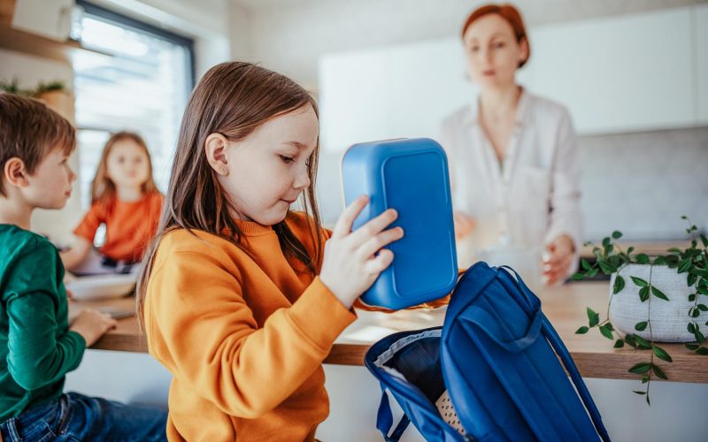 Little girl packing lunch box to backpack in kitchen at home.