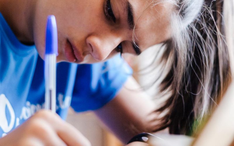 detail of a caucasian teenage girl with long hair in a ponytail studying at home and doing school homework for an exam or to make up for failed subjects concpeto learn